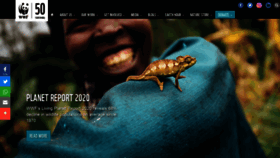 What Wwfindia.org website looked like in 2020 (4 years ago)