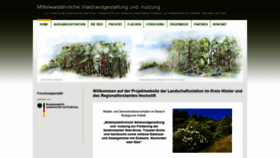 What Waldrandgestaltung.de website looked like in 2020 (3 years ago)