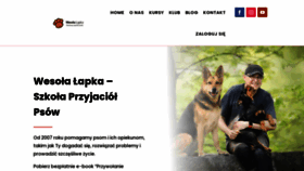 What Wesolalapka.pl website looked like in 2020 (3 years ago)