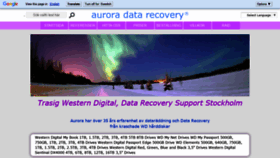 What Western-digital-data-recovery.se website looked like in 2020 (3 years ago)