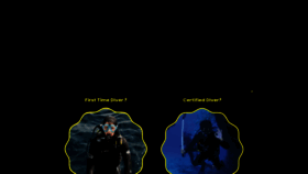 What Westcoastadventures.in website looked like in 2020 (5 years ago)