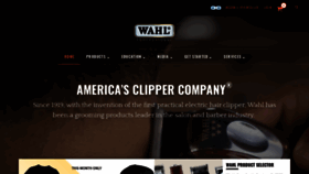What Wahlpro.com website looked like in 2020 (3 years ago)