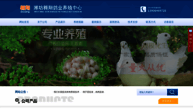What Wfaoxiang.cn website looked like in 2020 (5 years ago)
