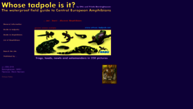 What Whose-tadpole.net website looked like in 2020 (3 years ago)