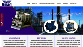 What Waterringvacuumpumps.com website looked like in 2020 (3 years ago)
