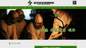 What Whjy.com.cn website looked like in 2020 (3 years ago)