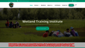 What Wetlandtraining.com website looked like in 2020 (3 years ago)