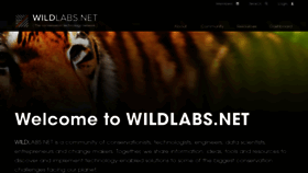 What Wildlabs.net website looked like in 2020 (3 years ago)