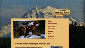 What Wabrittanyclub.com website looked like in 2020 (3 years ago)