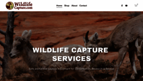 What Wildlifecapture.com website looked like in 2020 (3 years ago)