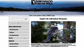 What Wildadirondacks.org website looked like in 2021 (3 years ago)