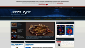 What Wiz.pl website looked like in 2021 (3 years ago)