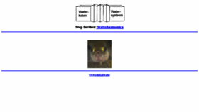 What Waterharmonica.nl website looked like in 2021 (4 years ago)