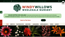 What Windywillows.co.za website looked like in 2021 (3 years ago)