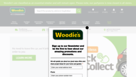 What Woodies.ie website looked like in 2021 (3 years ago)