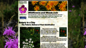 What Wildflowers-and-weeds.com website looked like in 2021 (3 years ago)