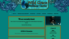 What Wildgracewellness.com website looked like in 2021 (3 years ago)