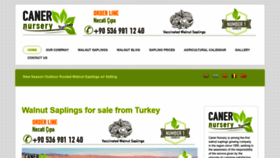 What Walnut-sapling.com website looked like in 2021 (3 years ago)