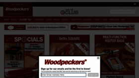 What Woodpeck.com website looked like in 2021 (3 years ago)