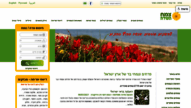 What Wildflowers.co.il website looked like in 2021 (3 years ago)