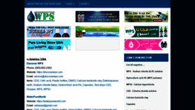 What Wps.land website looked like in 2021 (3 years ago)