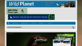 What Wildplanetphotomagazine.com website looked like in 2021 (3 years ago)