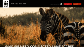 What Worldwildlife.org website looked like in 2021 (4 years ago)