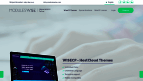 What Wisecptema.com website looked like in 2021 (2 years ago)