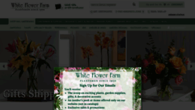 What Whiteflowerfarm.com website looked like in 2021 (2 years ago)
