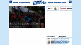 What Waldnet.com website looked like in 2021 (2 years ago)