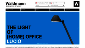 What Waldmann.com website looked like in 2021 (2 years ago)