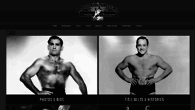 What Wrestlingmuseum.com website looked like in 2021 (2 years ago)