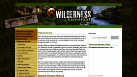What Wilderness-survival.net website looked like in 2022 (3 years ago)