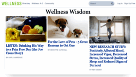What Wellness.com website looked like in 2022 (2 years ago)