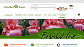 What Wilsonbrosgardens.com website looked like in 2022 (2 years ago)