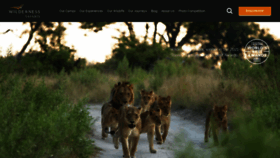 What Wilderness-safaris.com website looked like in 2022 (2 years ago)