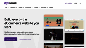 What Woothemes.com website looked like in 2022 (2 years ago)