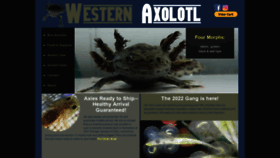 What Westernaxolotl.com website looked like in 2022 (2 years ago)