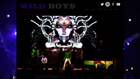 What Wildboysdd.com website looked like in 2022 (2 years ago)