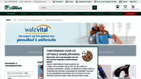 What Walzvital.be website looked like in 2022 (1 year ago)