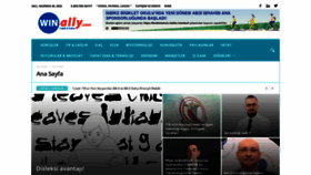 What Winally.com website looked like in 2022 (1 year ago)