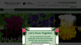 What Whiteflowerfarm.com website looked like in 2022 (1 year ago)