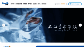 What Wondfo.com website looked like in 2022 (2 years ago)