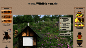 What Wildbienen.de website looked like in 2022 (1 year ago)