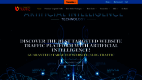 What Webtargetedtraffic.com website looked like in 2023 (1 year ago)