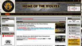 What Waterloominorhockey.com website looked like in 2023 (1 year ago)