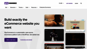 What Woothemes.com website looked like in 2023 (1 year ago)