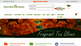 What Wilsonbrosgardens.com website looked like in 2023 (1 year ago)