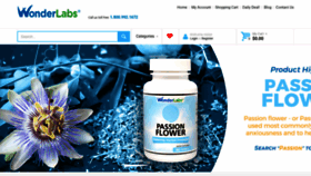What Wonderlabs.com website looked like in 2023 (2 years ago)