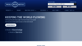 What Worldwidemetric.com website looked like in 2023 (1 year ago)